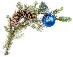 twig of spruce tree with cone and blue ball photo