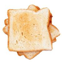 freshly prepared toasts isolated on white photo