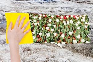 hand deletes old snow by yellow cloth photo