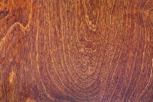 toned birch wood photo