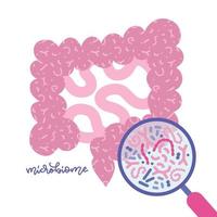 Microbiota intestinal vista con lupa. concepto de intestino humano y microbioma. ilustración de vector de glat para temas como sistema digestivo, probióticos, inmunidad, chequeo de salud.