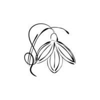 Graphic drawing of a snowdrop on a white background for logo, advertising. vector