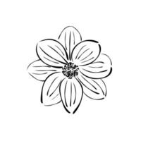 Flower. Ink drawing. Vector. vector