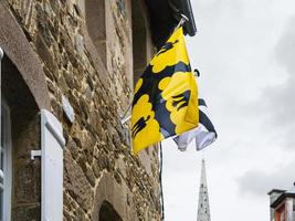 St Ivo's Saint-Yves flag of Tregor province photo