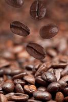 few falling beans and dark roasted coffee photo