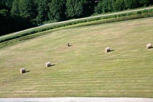 haystacks on castle lawn photo