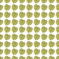 Contoured outline monstera silhouettes seamless pattern. Palm leaves endless background. Botanical wallpaper. vector