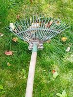 lawn care with rake photo