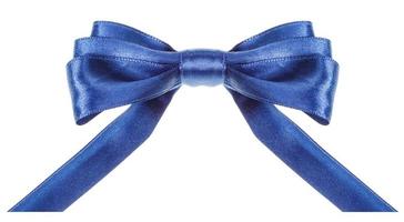 symmetrical blue bow with horizontal cut ends photo