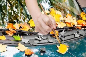 paintbrush paints yellow leaves on green car photo