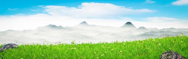 High mountain scenery or complex mountain landscapes. Terrain Meadow on the mountain range in the morning There is a fog covering the top. 3D rendering photo
