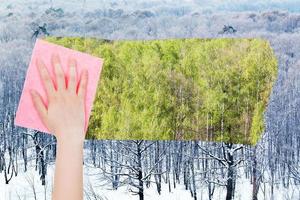 hand deletes winter woods by pink cloth photo