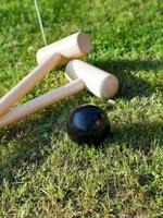 game of croquet on green lawn photo