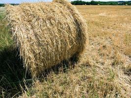 bale of straw on hay field in Val de Loire region photo