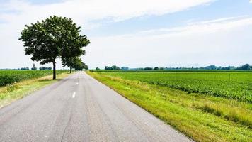 country landscape with road in Alsace region photo