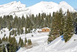 mountain skiing area in Portes du Soleil region photo