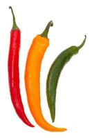 pods of different hot peppers photo