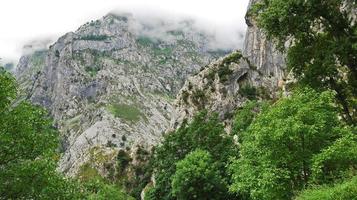 high mountains in national park Picos de Europa photo