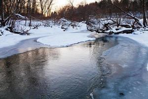 icebound banks of forest pond photo