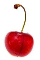 one red sweet cherry isolated photo