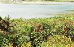 sea bay on Cies Islands in Atlantic, Spain photo