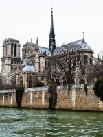 cathedral Notre Dame de Paris photo