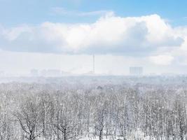 snow storm over city and forest in spring photo