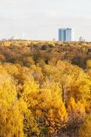 yellow forest and apartment building in autumn day photo