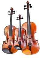 family of violins isolated photo