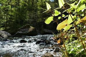 River in autumn photo