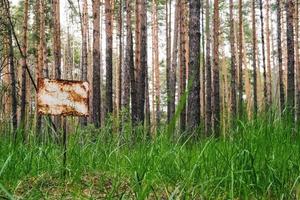 Rusty warning sign among coniferous forest.