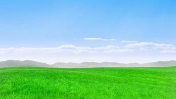 bright green meadow Outdoors or in the mountains. natural landscape with green grass fields and blue sky with clouds with curved horizon lines. 3D Rendering photo