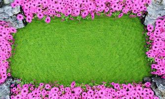 céspedes de color verde brillante y prados rodeados de flores rosadas. y hay piedras en todos los rincones 4. Representación 3D foto