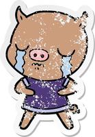 distressed sticker of a cartoon pig crying vector