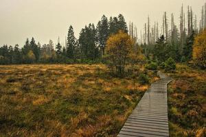 Moorland on a rainy day photo