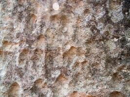 The texture of stone used for background images, Surface of stone brown color photo