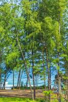 Nai Thon Naithon Beach view behind trees Phuket Thailand. photo