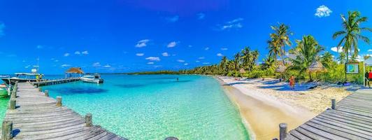 Island Contoy Quintana Roo Mexico 2022 Beautiful tropical natural palm tree boat jetty Contoy island Mexico.