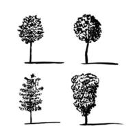 Different trees sketch set. Beech, birsh and pine tree vector sketch