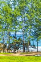 Nai Thon Naithon Beach view behind trees Phuket Thailand. photo