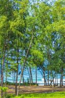 vista de la playa de nai thon naithon detrás de los árboles phuket tailandia. foto