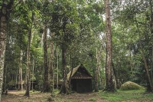 Old wooden cottage in the forest photo