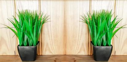 Decorate giant green glass in a black ceramic flower pots on wooden table and wall background. photo