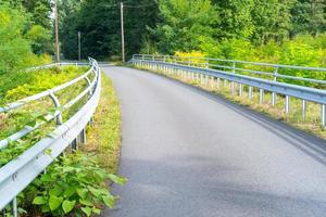 Road with guardrails leads into the forest photo