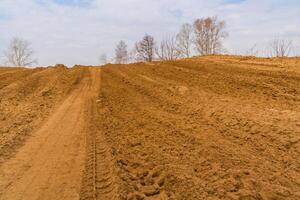 Wheel Track on the Sand photo