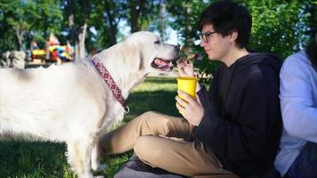 Der junge Mann sitzt in einem Park mit einem Getränk und einem Snack und lächelt einen großen weißen, freundlichen Hund an video