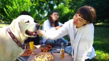 los amigos se sientan en una manta en el parque haciendo un picnic acariciando a un gran perro labrador blanco video