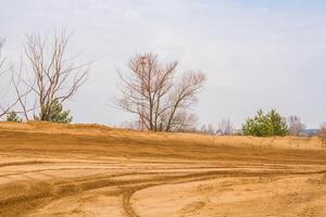 Wheel Track on the Sand photo