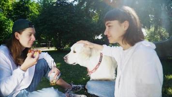 des amis s'assoient sur une couverture dans le parc en train de pique-niquer en caressant un grand chien labrador blanc video