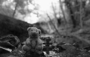 Black and white Lost teddy bear sitting on rock stone by river stream,Lonely and sad face bear doll sitting down alone in the forest, lost toy, Loneliness,International missing Children day concept photo